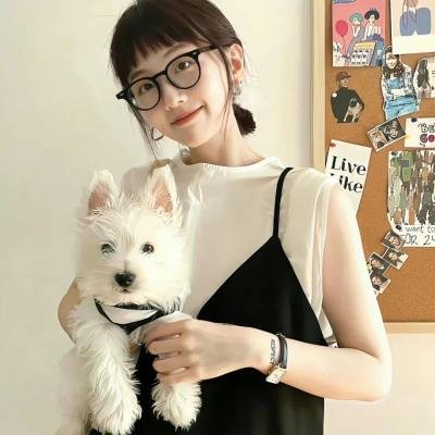 戴夫永不归来